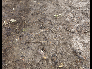 muddy terrain CG Texturen