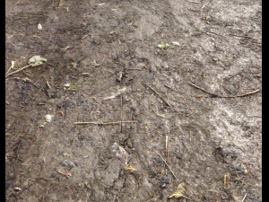 muddy terrain CG Textures