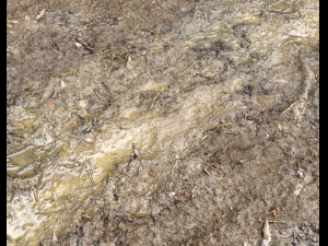 muddy terrain CG Texturen