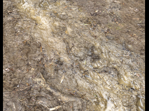 muddy terrain CG Texturen