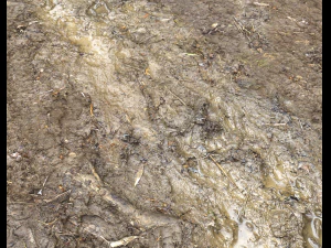 muddy terrain CG Textures