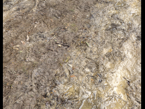 muddy terrain CG Texturen