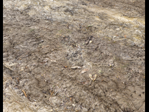 muddy terrain CG Texturen
