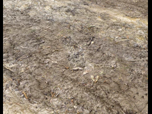 muddy terrain CG Textures