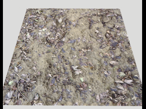 muddy terrain CG Texturen