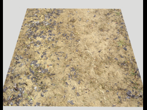 muddy terrain CG Texturen