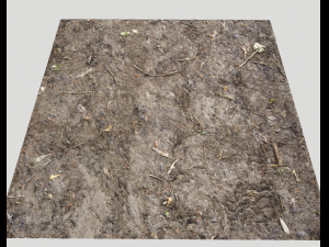 muddy terrain CG Texturen