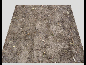 muddy terrain CG Textures
