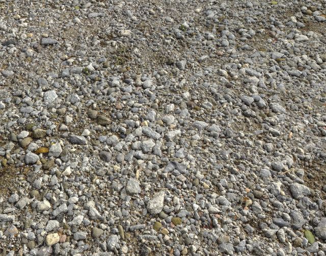rocks and pebbles ground pack 1 CG Textures .c4d .max .obj .3ds .fbx .stl .blend