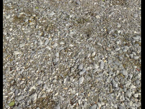 rocks and pebbles ground pack 1 CG Textures