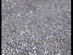 rocks and pebbles ground pack 2 CG Textures