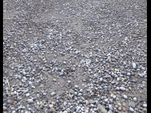 rocks and pebbles ground pack 2 CG Textures