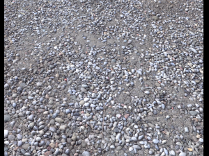 rocks and pebbles ground pack 2 CG 텍스쳐