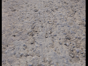 rocks and pebbles ground pack 2 CG 텍스쳐
