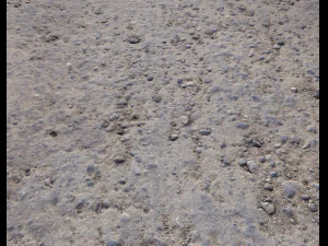 rocks and pebbles ground pack 2 CG Textures