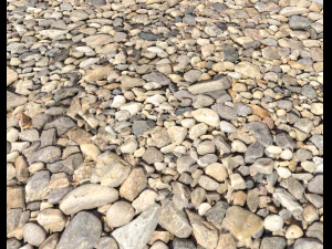 rocks and pebbles ground pack 3 CG Textures