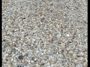 rocks and pebbles ground pack 3 Texturas CG