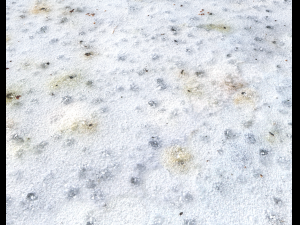 snow terrain pbr pack 1 Texturas CG