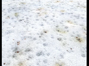 snow terrain pbr pack 1 CG Textures