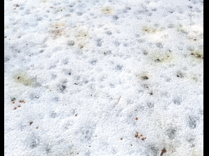 snow terrain pbr pack 1 Texturas CG