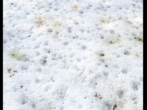 snow terrain pbr pack 1 CG Textures