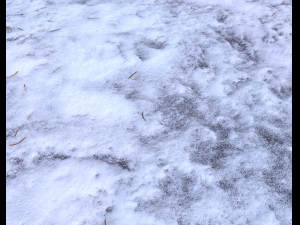 snow terrain pbr pack 1 Texturas CG