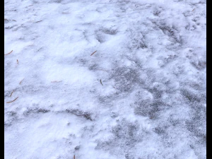 snow terrain pbr pack 1 CG Textures