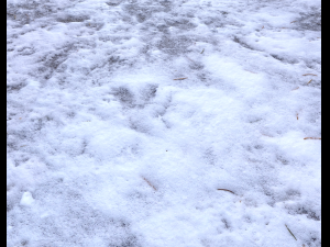 snow terrain pbr pack 1 Texturas CG