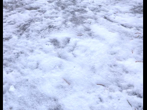 snow terrain pbr pack 1 CG Textures