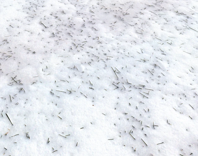 snow terrain pbr pack 2 CG Textures .c4d .max .obj .3ds .fbx .stl .blend 