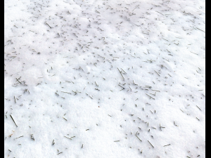 snow terrain pbr pack 2 CG Textures