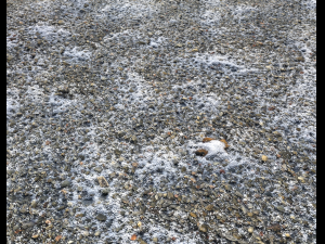 snow terrain pbr pack 2 CG Текстури