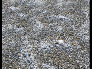snow terrain pbr pack 2 CG Textures