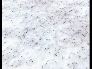 snow terrain pbr pack 2 CG Текстури