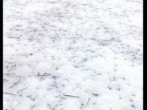 snow terrain pbr pack 2 CG Текстури