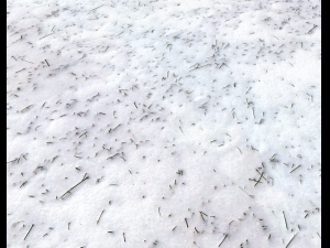 snow terrain pbr pack 2 CG Текстури