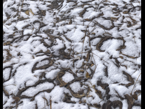 snow terrain pbr pack 2 CG Текстури