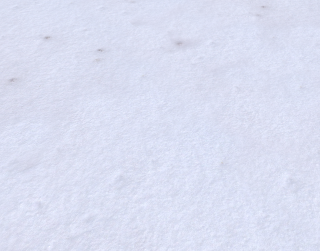 snow terrain pbr pack 3 CG Текстуры .c4d .max .obj .3ds .fbx .stl .blend 
