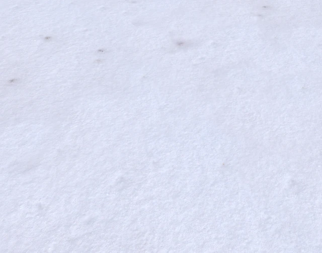 snow terrain pbr pack 3 CG Textures .c4d .max .obj .3ds .fbx .stl .blend 