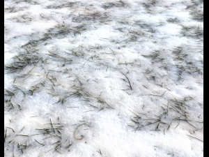 snow terrain pbr pack 3 CG Текстуры