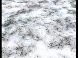 snow terrain pbr pack 3 CG Textures