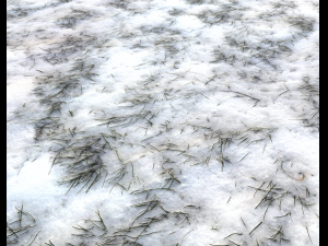 snow terrain pbr pack 3 CG Текстуры