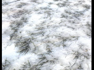 snow terrain pbr pack 3 CG Textures