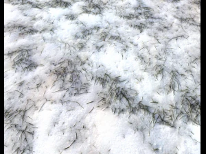 snow terrain pbr pack 3 CG Textures