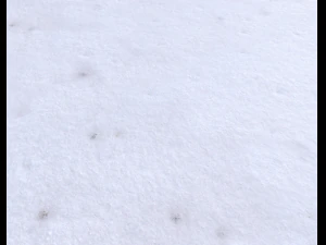snow terrain pbr pack 3 CG Textures