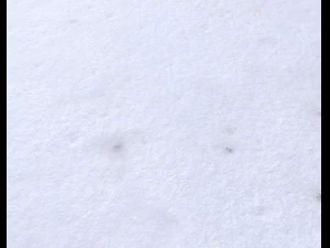snow terrain pbr pack 3 CG Textures