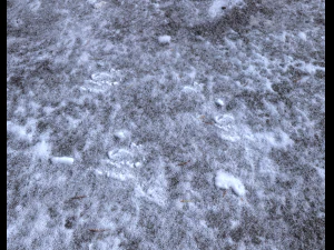 snow terrain pbr pack 3 CG Textures