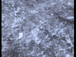 snow terrain pbr pack 3 CG Текстуры