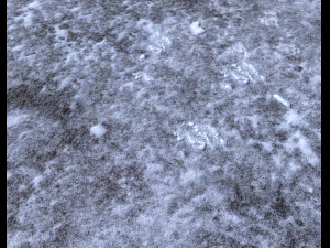 snow terrain pbr pack 3 CG Textures