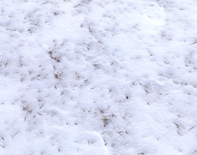 snow terrain pbr pack 4 CG टेक्स्चर्स .c4d .max .obj .3ds .fbx .stl .blend 
